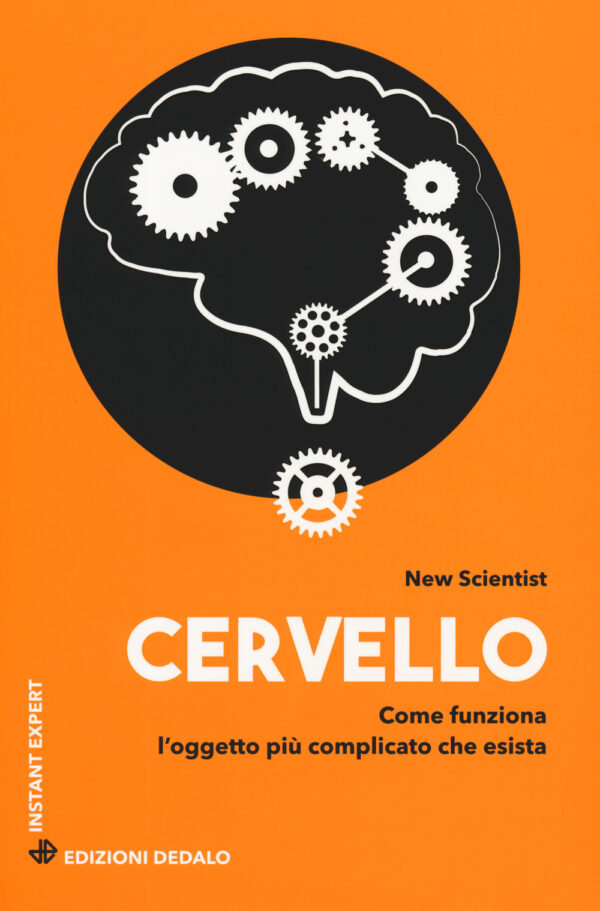 CERVELLO. COME FUNZIONA L'OGGETTO PIÙ COMPLICATO CHE ESISTA