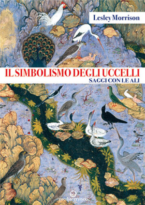 SIMBOLISMO DEGLI UCCELLI. SAGGI CON LE ALI (IL)