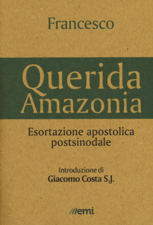 «QUERIDA AMAZONIA». ESORTAZIONE APOSTOLICA POSTSINODALE AL POPOLO DI DIO E A TUTTE LE PERSONE DI BUONA VOLONTÀ