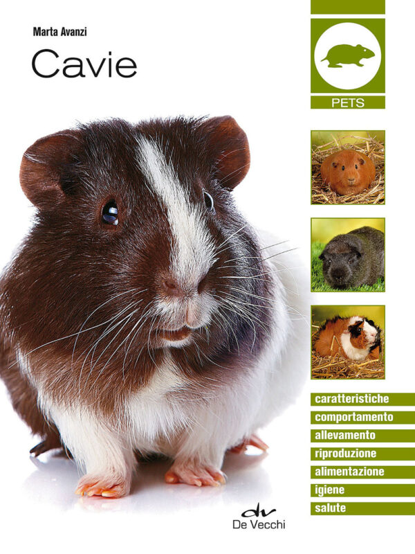 CAVIE