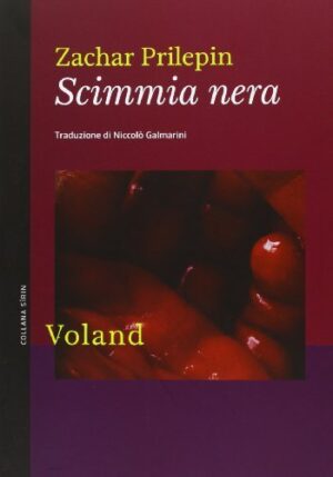 SCIMMIA NERA