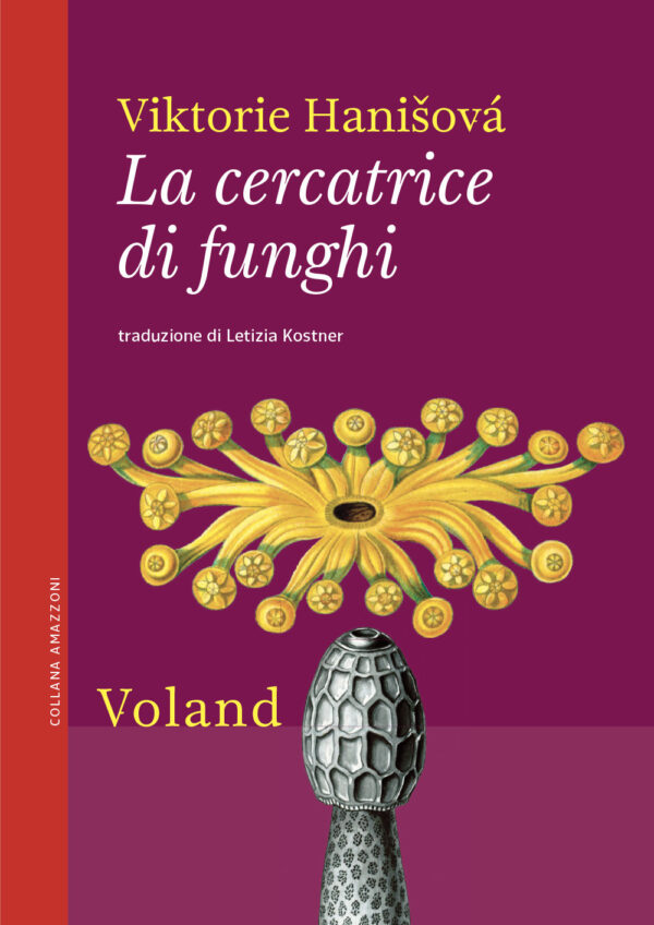 CERCATRICE DI FUNGHI (LA)