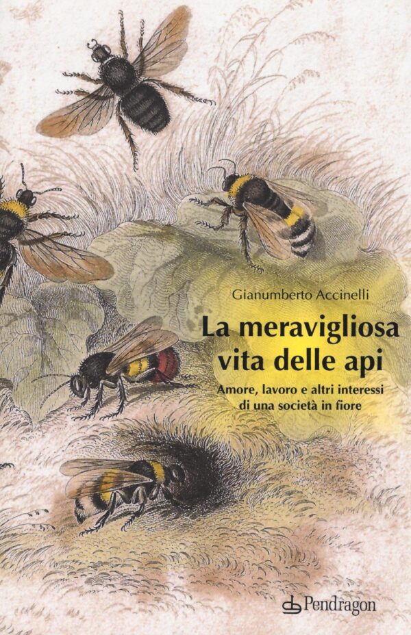 MERAVIGLIOSA VITA DELLE API. AMORE, LAVORO E ALTRI INTERESSI DI UNA SOCIETÀ IN FIORE (LA)