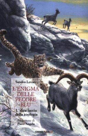 L'ENIGMA DELLE PECORE  BLU