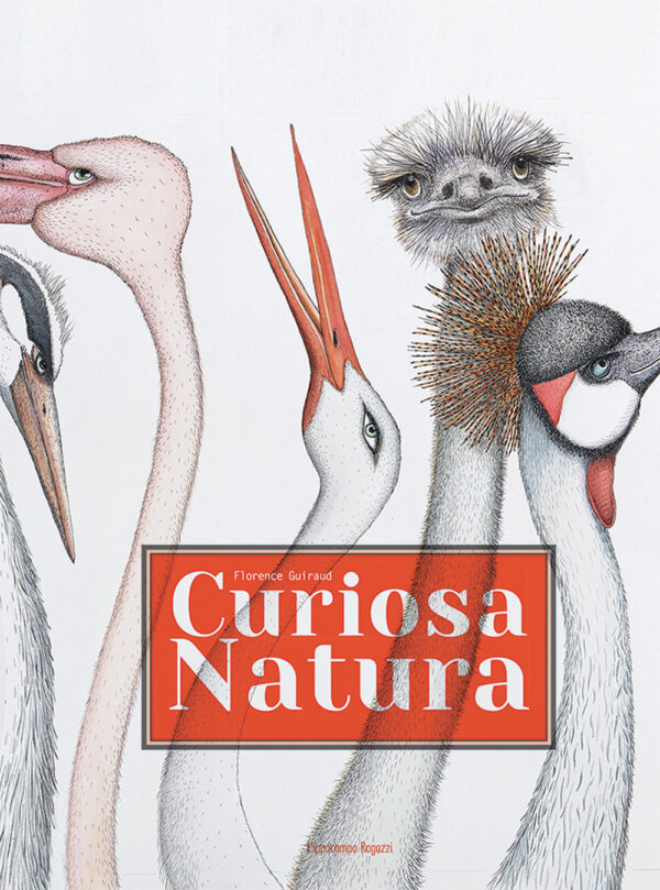 CURIOSA NATURA