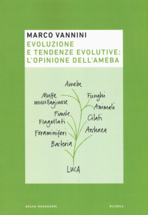 EVOLUZIONE E TENDENZE EVOLUTIVE: L'OPINIONE DELL'AMEBA