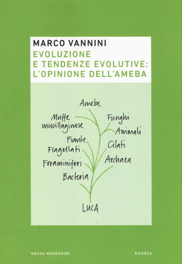 EVOLUZIONE E TENDENZE EVOLUTIVE: L'OPINIONE DELL'AMEBA