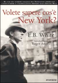 VOLETE SAPERE COS’È NEW YORK?