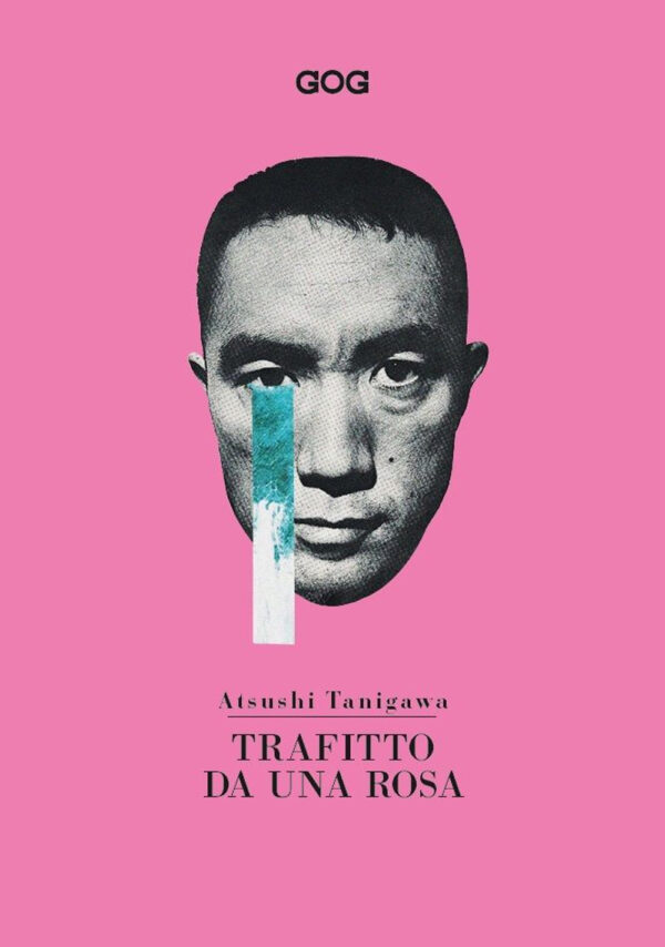 TRAFITTO DA UNA ROSA