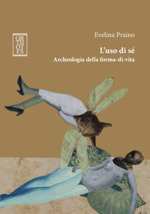 USO DI SÉ. ARCHEOLOGIA DELLA FORMA-DI-VITA (L’)