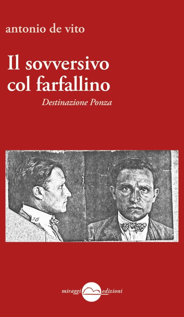 SOVVERSIVO COL FARFALLINO. DESTINAZIONE PONZA (IL)