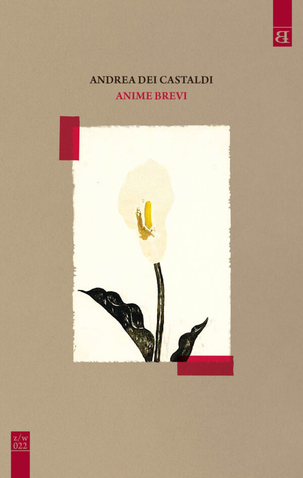 ANIME BREVI