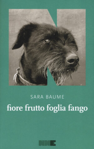 FIORE FRUTTO FOGLIA FANGO