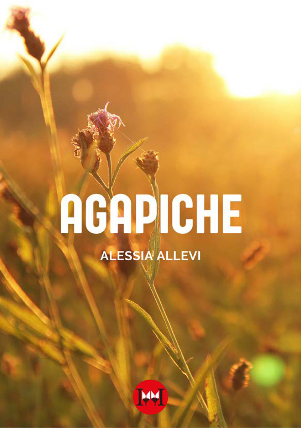 AGAPICHE