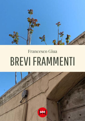 BREVI FRAMMENTI