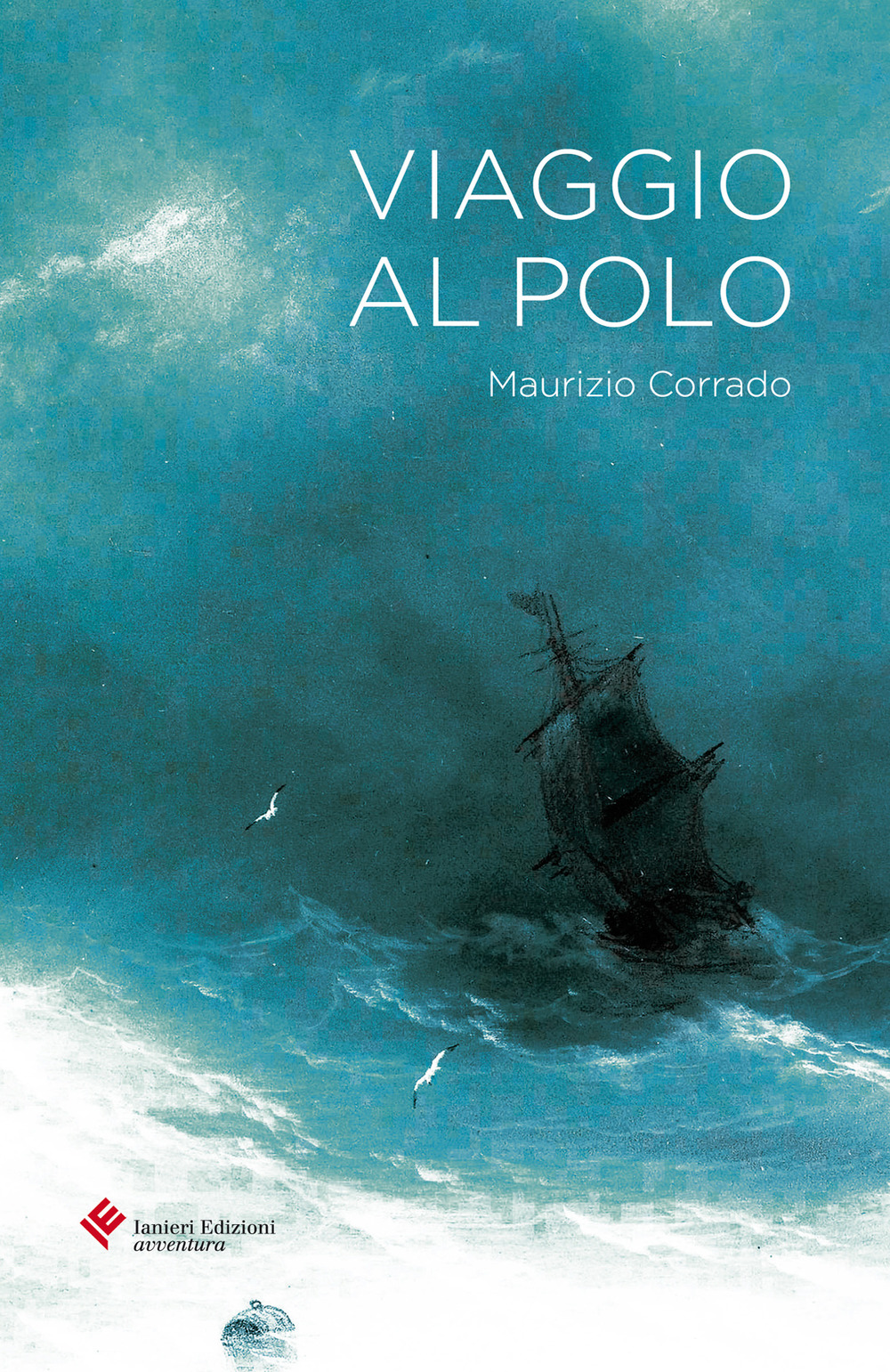 VIAGGIO AL POLO