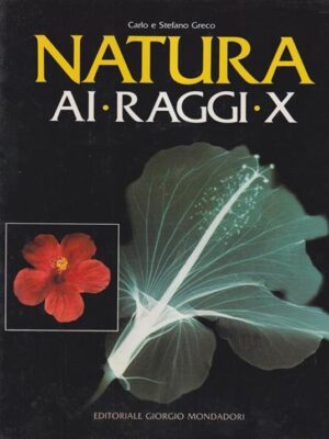 NATURA AI RAGGI X