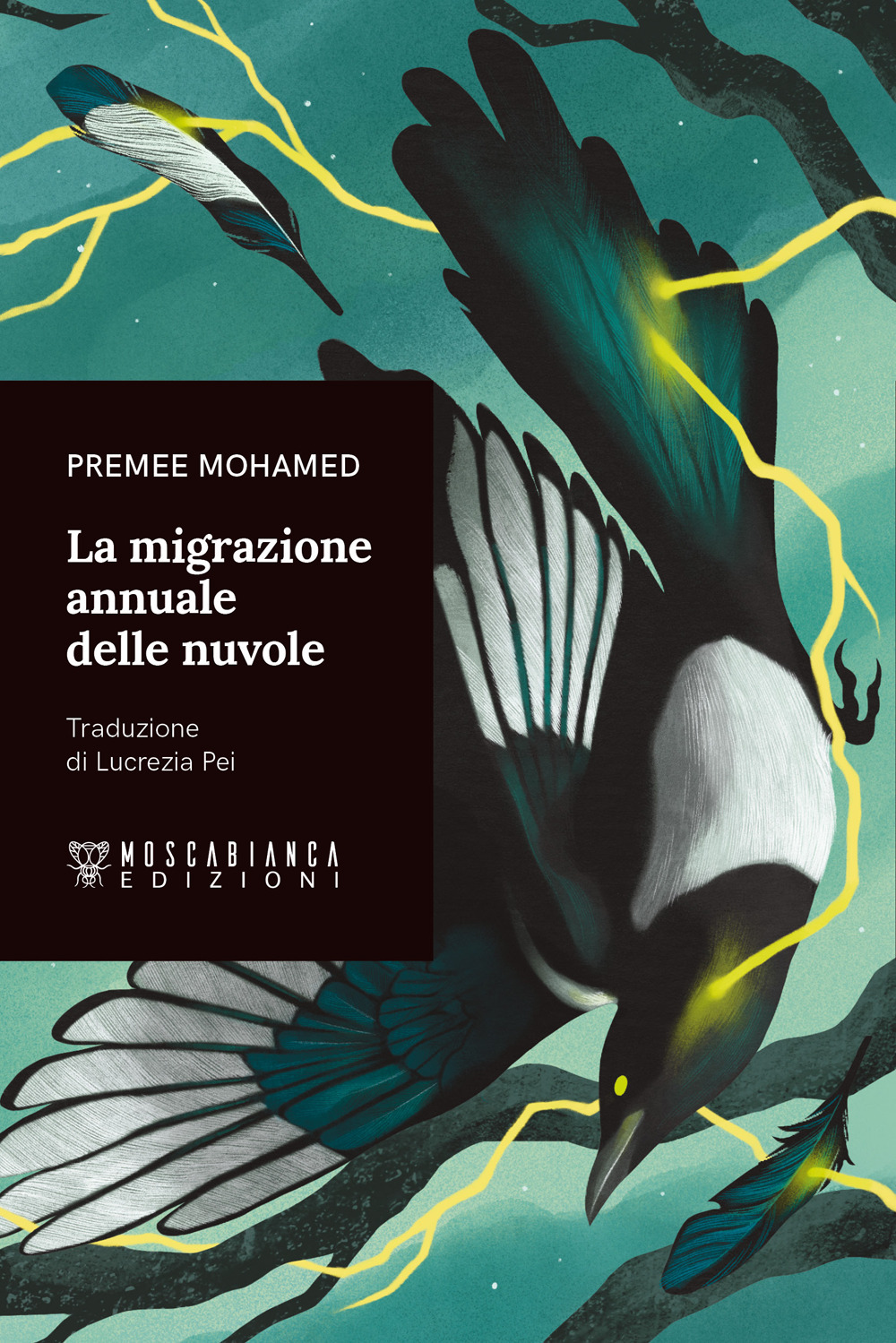 MIGRAZIONE ANNUALE DELLE NUVOLE (LA)