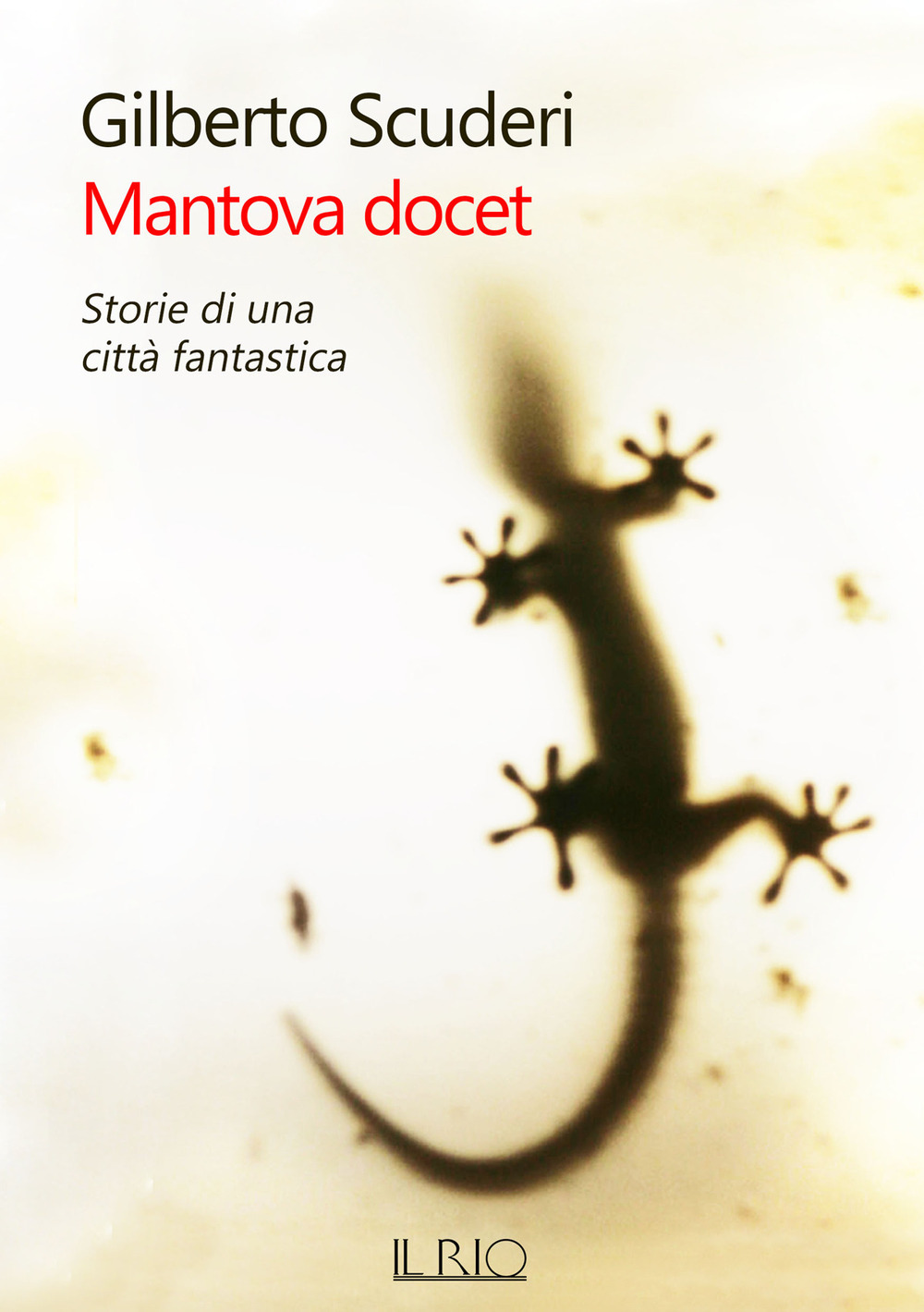 MANTOVA DOCET. STORIE DI UNA CITTÀ FANTASTICA