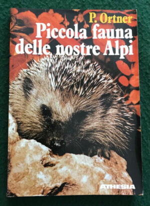 PICCOLA FAUNA DELLE ALPI