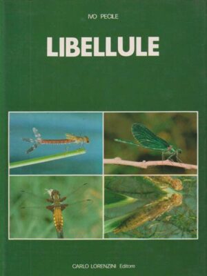 LIBELLULE