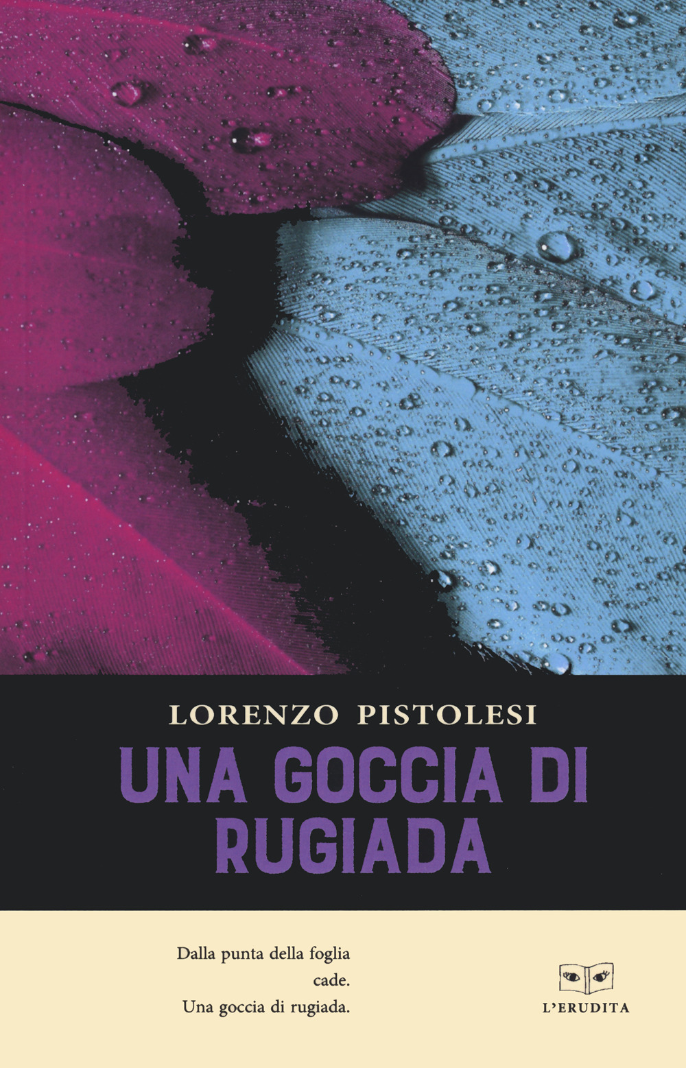 UNA GOCCIA DI RUGIADA