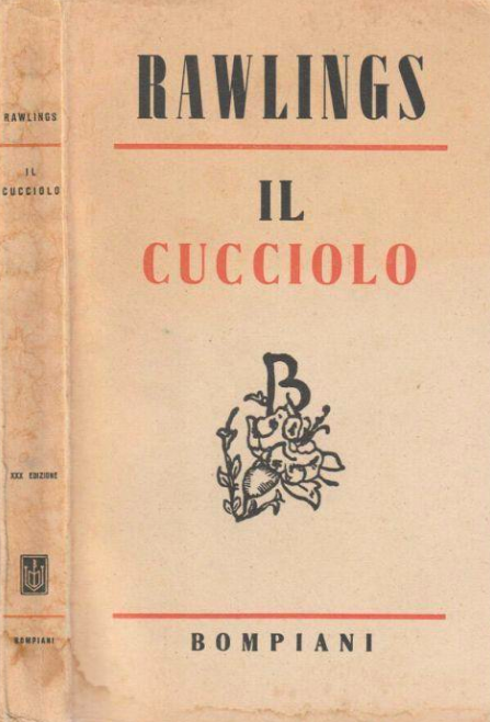 IL CUCCIOLO