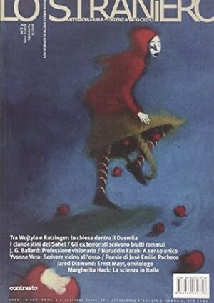 STRANIERO. EDIZ. ILLUSTRATA (LO)