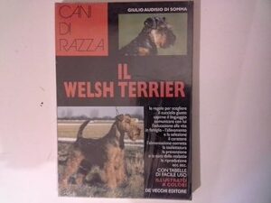 WELSH TERRIER (IL)