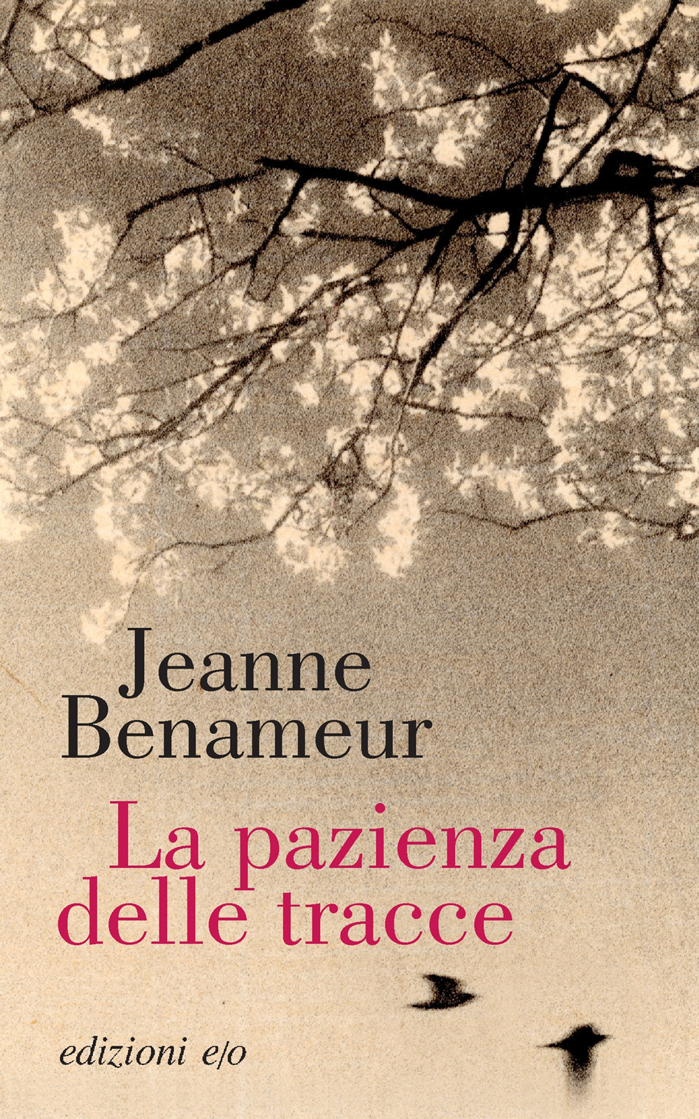 PAZIENZA DELLE TRACCE (LA)