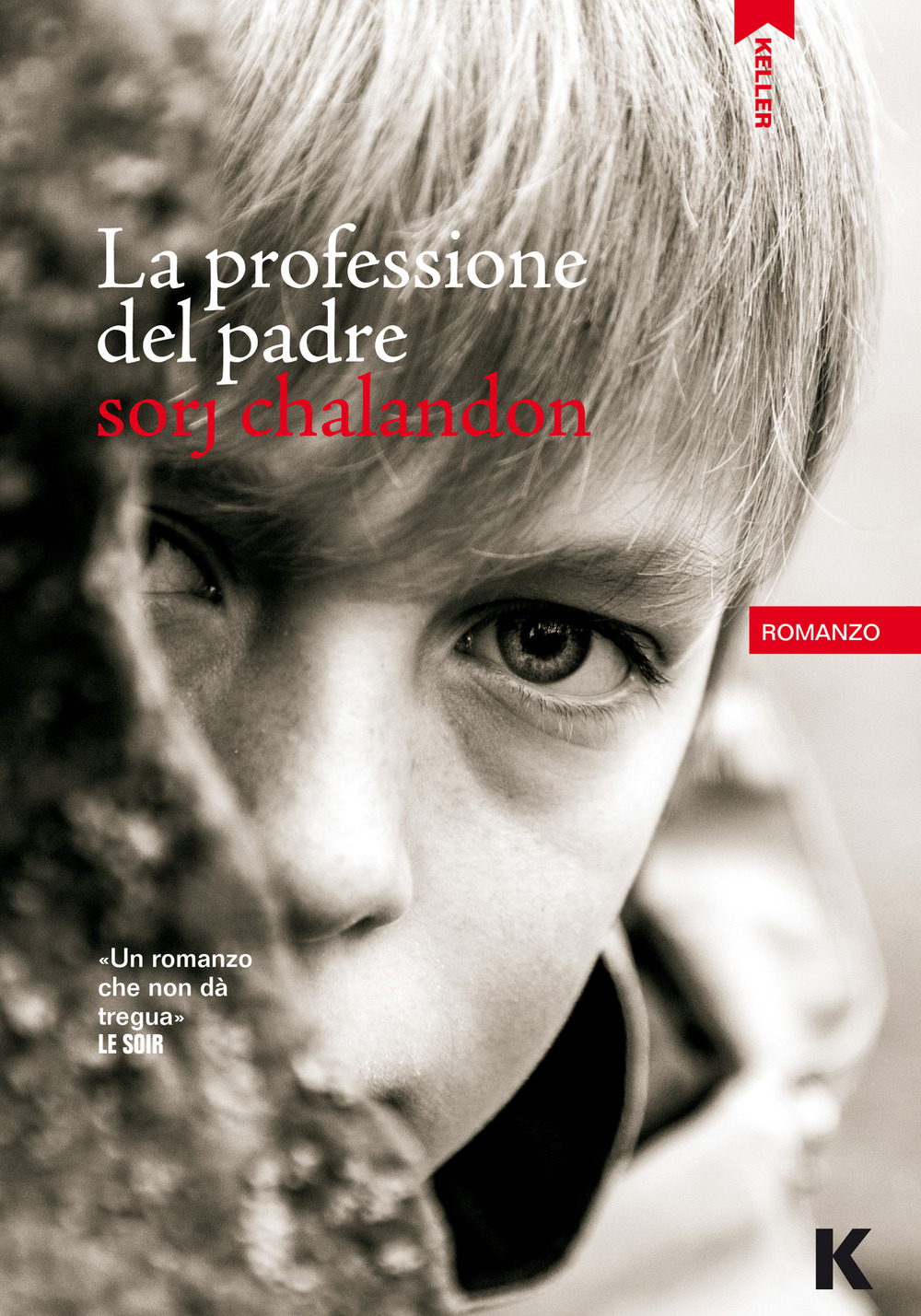 PROFESSIONE DEL PADRE (LA)