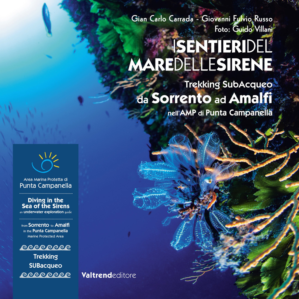SENTIERI DEL MARE DELLE SIRENE. TREKKING SUBACQUEO DA SORRENTO AD AMALFI NELL’AMP DI PUNTA CAMPANELLA. EDIZ. ITALIANA E INGLESE (I)