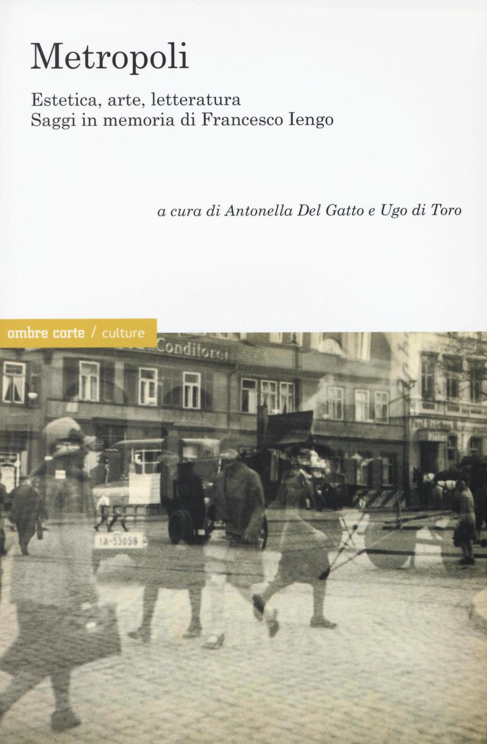 METROPOLI. EESTETICA, ARTE, LETTERATURA. SAGGI IN MEMORIA DI FRANCESCO IENGO