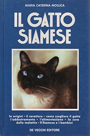 GATTO SIAMESE (IL)