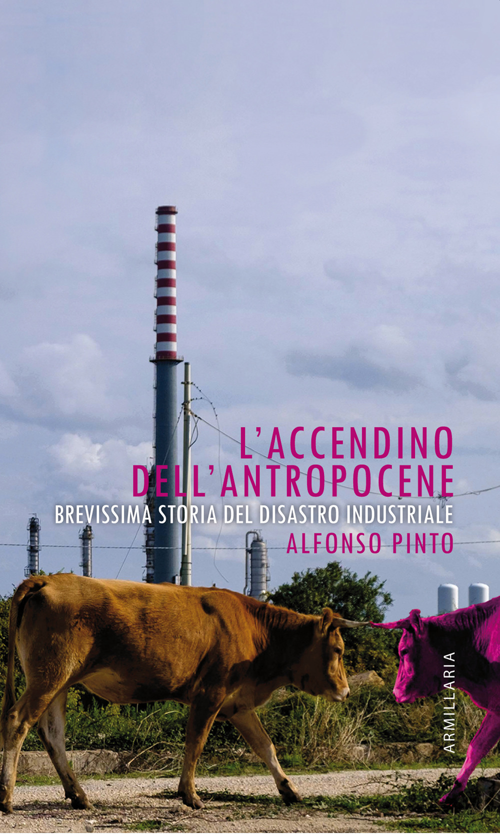 ACCENDINO DELL'ANTROPOCENE. BREVISSIMA STORIA DEL DISASTRO INDUSTRIALE (L')