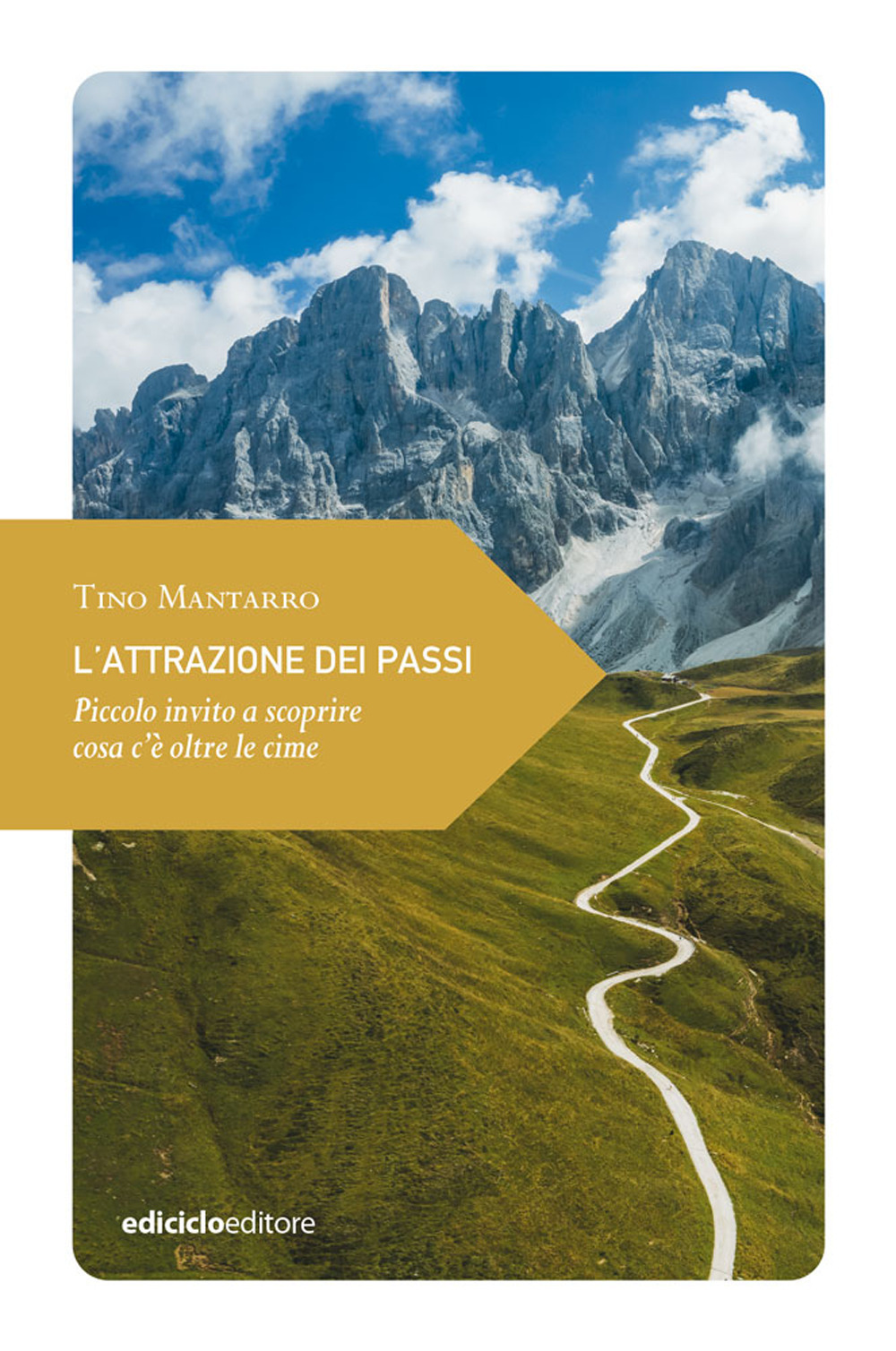 ATTRAZIONE DEI PASSI. PICCOLO INVITO A SCOPRIRE COSA C'È OLTRE LE CIME (L')