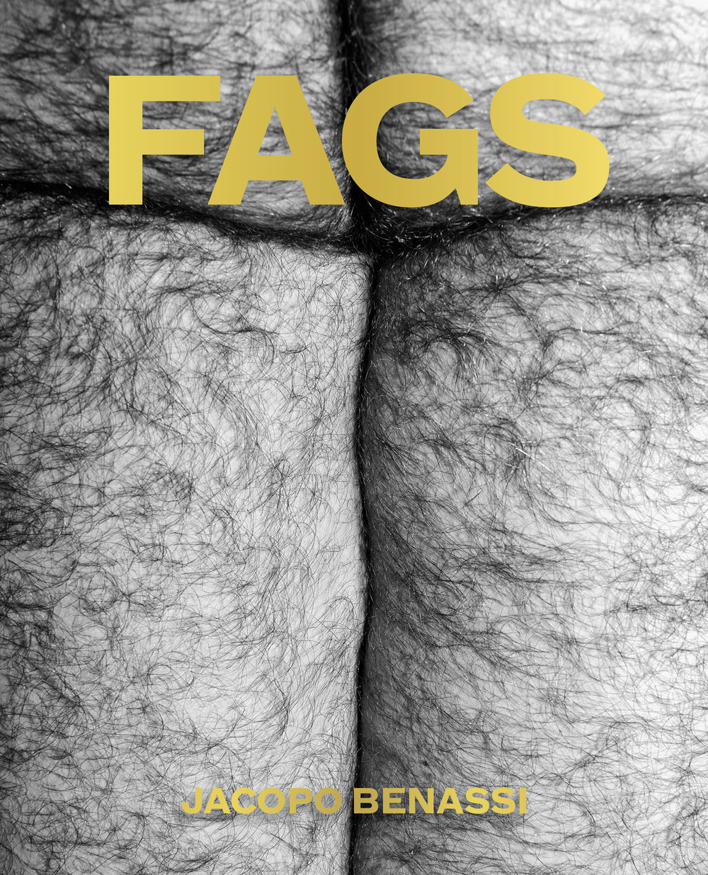 FAGS