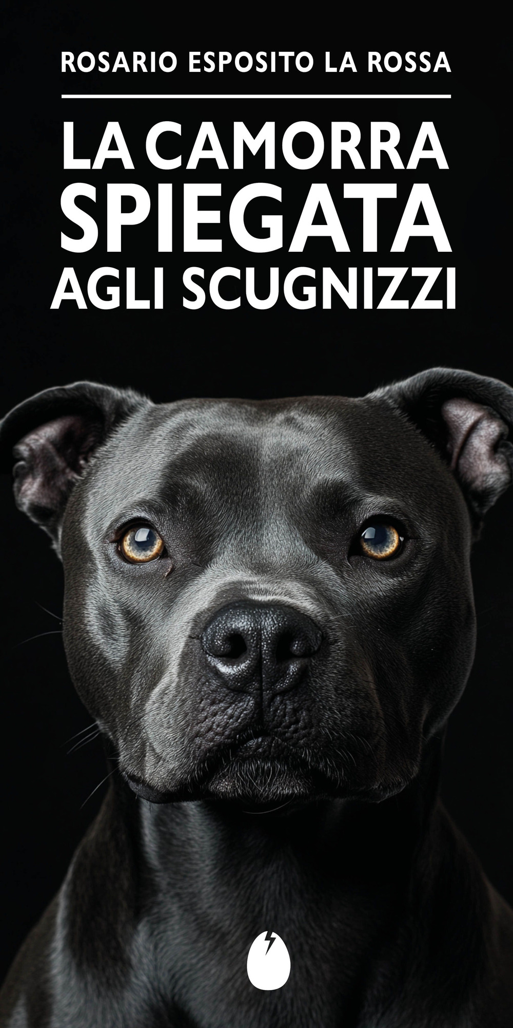 CAMORRA SPIEGATA AGLI SCUGNIZZI (LA)