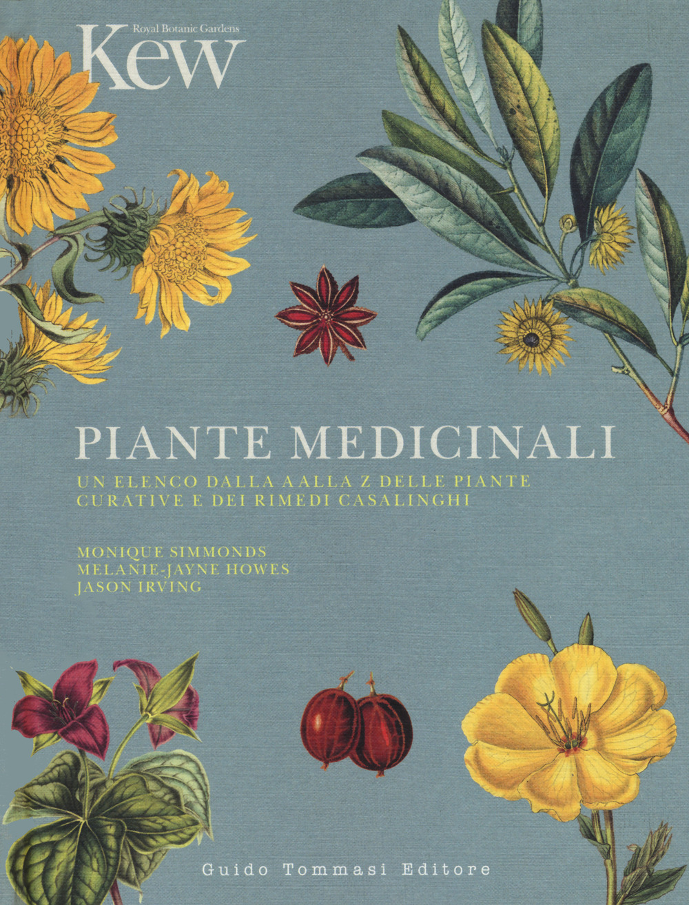 PIANTE MEDICINALI. UN ELENCO DALLA A ALLA Z DELLE PIANTE CURATIVE E DEI RIMEDI CASALINGHI
