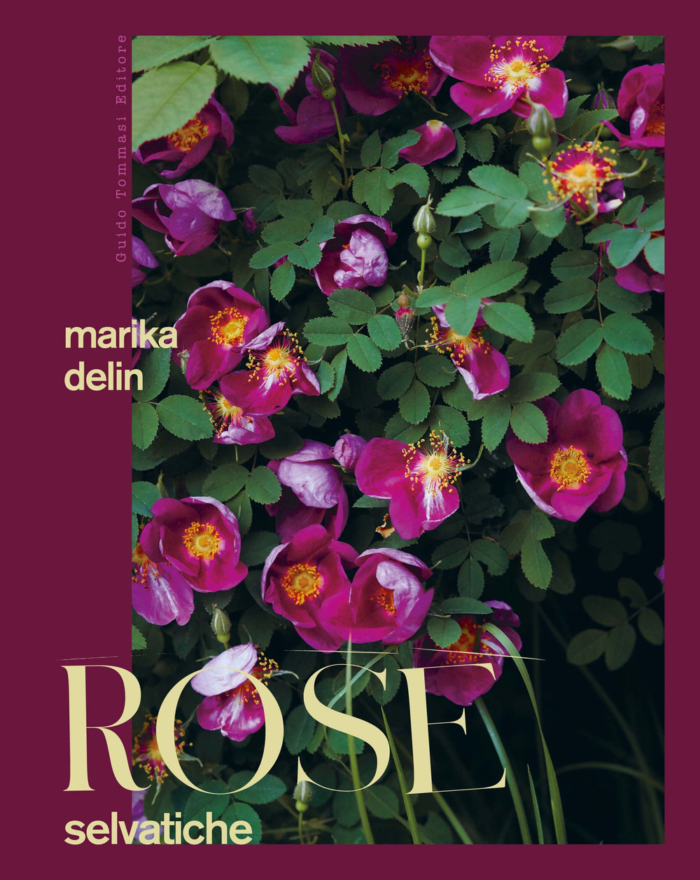 ROSE SELVATICHE