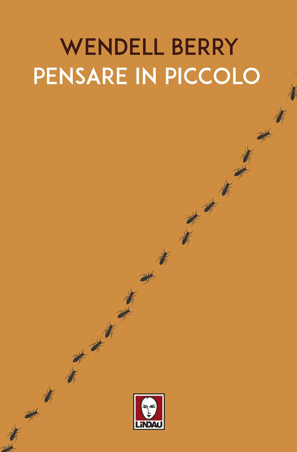 PENSARE IN PICCOLO ***
