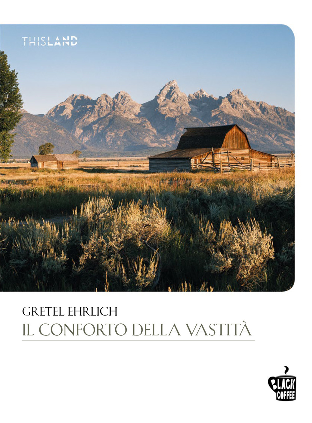 CONFORTO DELLA VASTITÀ (IL)
